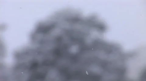 Snow falls 2 Stock Footage 10699373