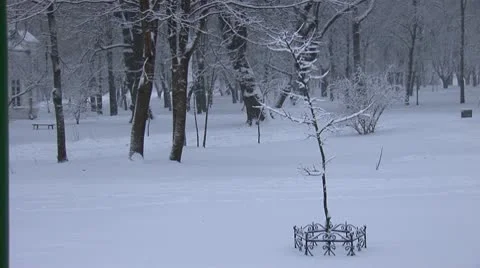 Snow falls 6 Stock Footage 10699366