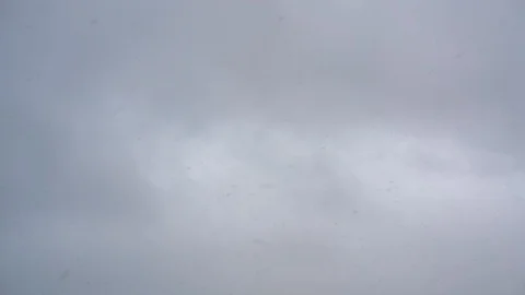 Snow falls against the sky, close-up Video stock 88638187