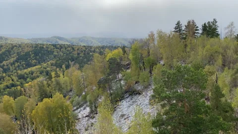 Snow falls on autumn trees in the mountains. Stock Footage 211375720