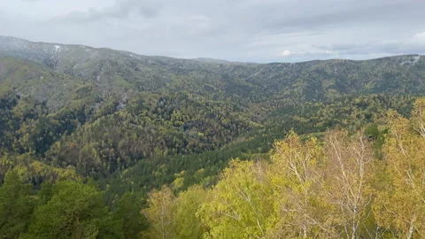 Snow falls on autumn trees in the mountains. Stock Footage 211377366