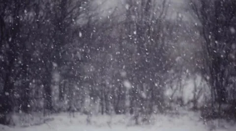 Snow falls on the background of blurred forest landscape Stock-Footage 57232354