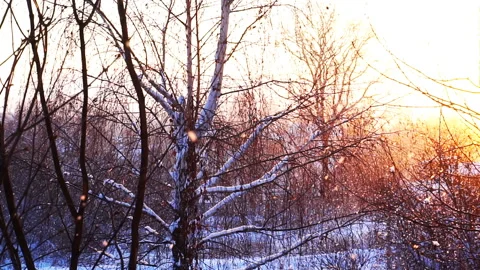 Snow falls on the background of bright sun. Stock Footage 101109323