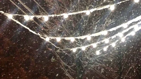 Snow falls on the background of street decorative lamps. Snow falls on the Video stock 197384199