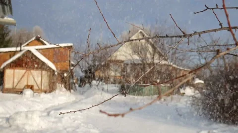 Snow falls on the bare branches of a tree in winter 動画素材 134940945