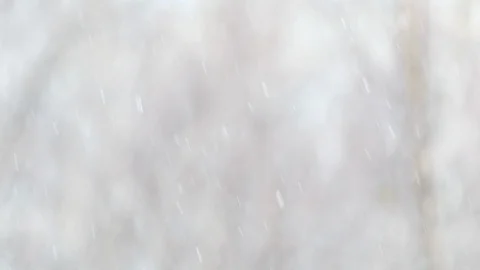 Snow falls on a blurry background of birches. Slow motion video Stock Footage 121256047