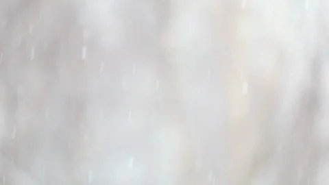 Snow falls on a blurry background of birches. Slow motion video Stock Footage 121256418