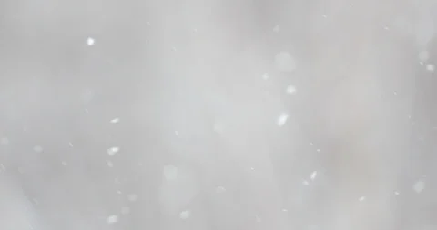 Snow falls on a blurry background of birches. Slow motion video Stock-Footage 121632609
