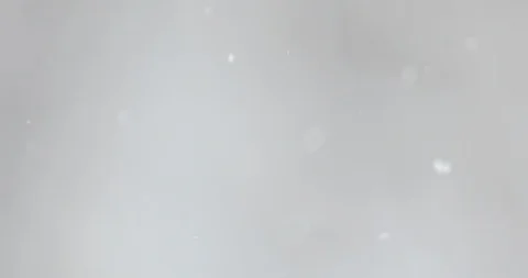 Snow falls on a blurry background of birches. Slow motion video Stock-Footage 121632945