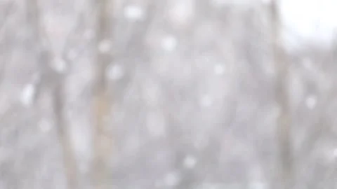 Snow falls on a blurry background of birches. Slow motion video Stock Footage 142995458