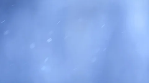 Snow falls on blurry trees background. Stock Footage 121634486