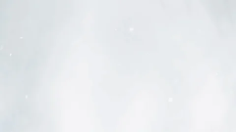 Snow falls on blurry trees background. Stock Footage 121635003