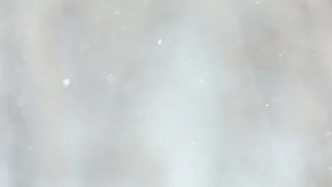 Snow falls on blurry trees background. Stock Footage 121635256