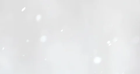 Snow falls on blurry trees background. Video stock 121635623