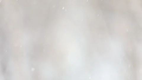 Snow falls on blurry trees background. Video stock 121635694