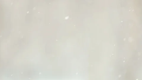 Snow falls on blurry trees background. Stock Footage 121635884