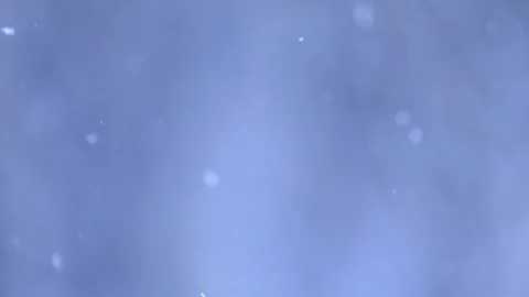 Snow falls on blurry trees background. Stock Footage 121635964