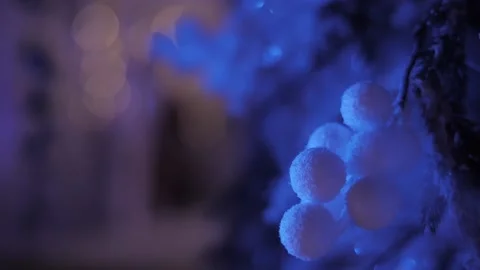 Snow falls from branches of a christmas tree, silhouette santa claus Stock Footage 166734133