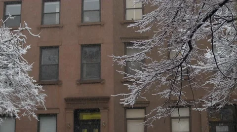 Snow falls on Brooklyn trees Stock Footage 48206293