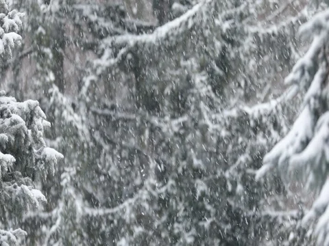 Snow falls during a winter blizzard Stock Footage 77528482