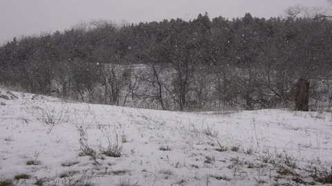 Snow Falls During A Winter Blizzard Stock Footage 122987789