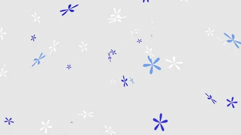 Snow falls, egraphics element, transparent background 4k Stock Footage 146143522