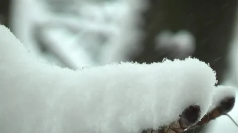 Snow falls Video stock 16327694