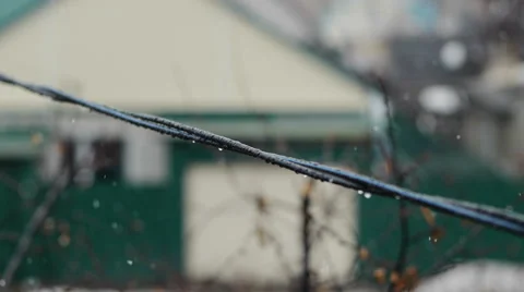 Snow falls Stock Footage 49450459