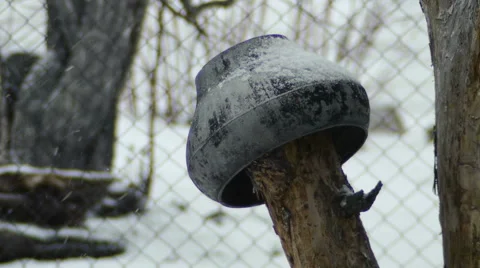 The Snow Falls Stock Footage 58672912