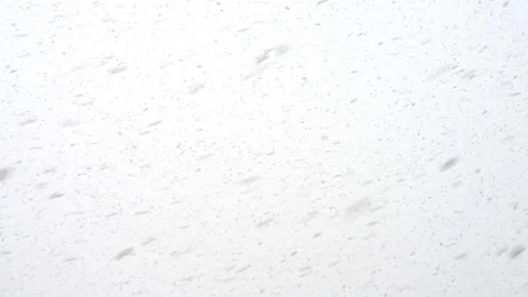 The snow falls Stock Footage 86800010