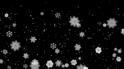 Snow Falls Stock Footage 88435143