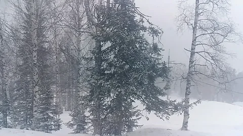 Snow falls Stock Footage
