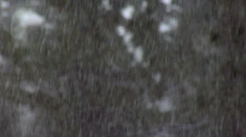 Snow Falls Forest Background 動画素材 34430379