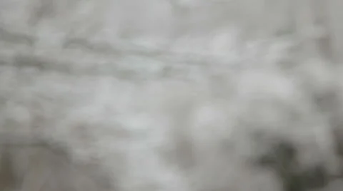 Snow falls in the forest. Vidéo 48439097