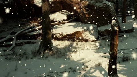 Snow falls gently on a forest landscape during winter day Stock Footage 342049449