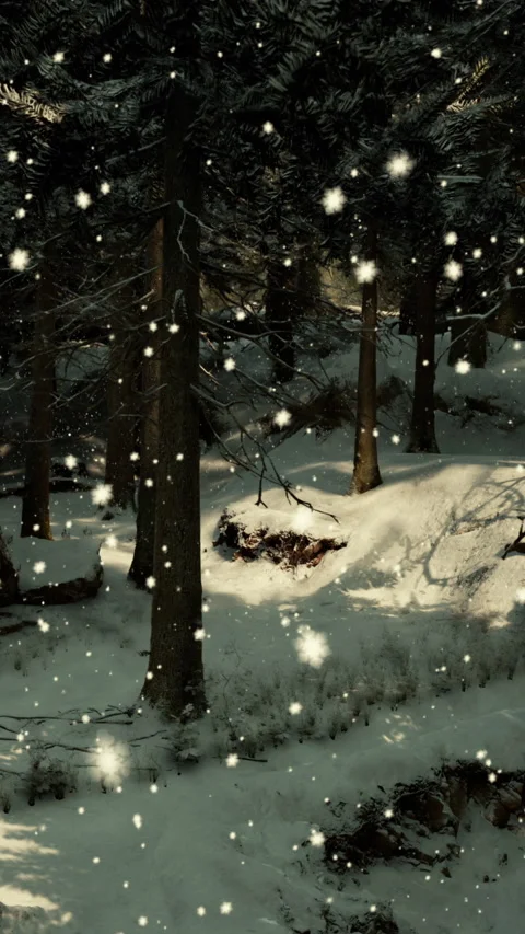 Snow falls gently in a forest with tall trees on a winter day Stock Footage 341988930