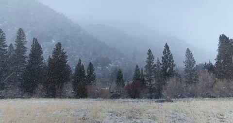 Snow Falls in a Grassy Valley surrounded by tall Trees and Snowy Mountains 库存影片 162288965
