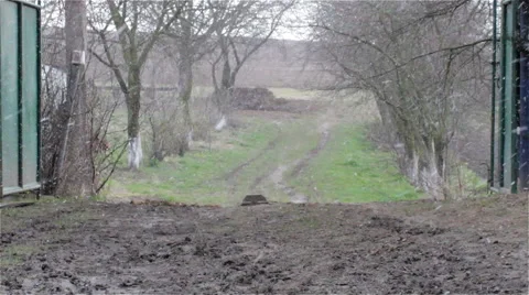 Snow falls on the ground 스톡 동영상 49196486