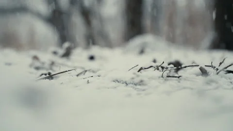 Snow falls to the ground Stock Footage 104224558