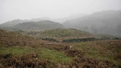 Snow falls on a hillside with a drystone wall and hills in the background Stock Footage