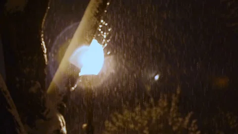 Snow falls in lamplight with tree Stock Footage 123988139