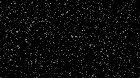 Snow Falls Loop Stock Footage