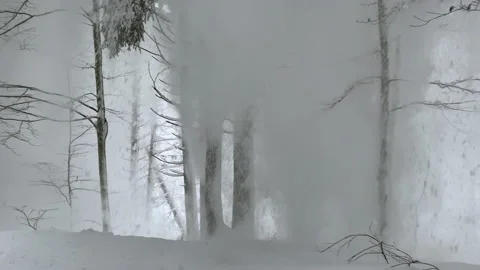 Snow falls a lot from trees covered and full Stock Footage 146417617
