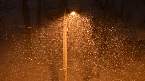 Snow falls at night Stock Footage 178960708