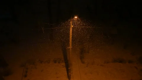 Snow falls at night Stock Footage 178962416