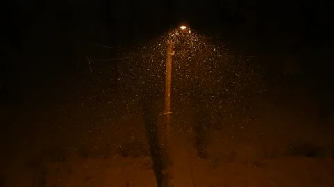 Snow falls at night Stock Footage 178962626