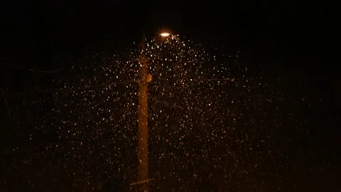 Snow falls at night Stock Footage 178962745