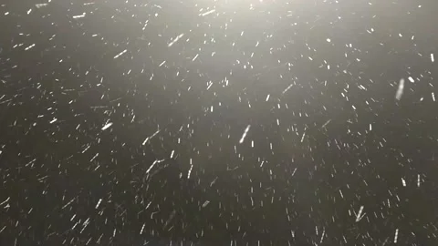 Snow falls at night. Real Snow, falling snow isolated on black background Large  Stock Footage 146098053