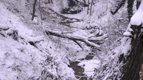 Snow falls over fallen over the river tree Stock-Footage 88255260