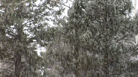 Snow Falls in the Rockies 動画素材 34428229